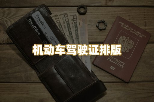 机动车驾驶证排版