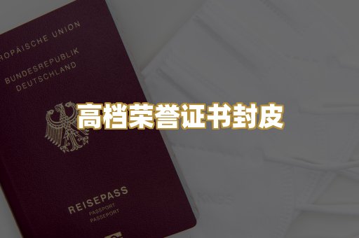 机动车驾驶证排版
